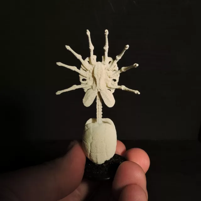 Squelette Facehugger - Un hommage squelettique à HR Giger et la franchise Alien