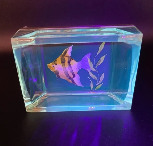 Vintage Acrylic Soap Trinket Dish Fish Aquarium Look Glows UV Reactive Tropical