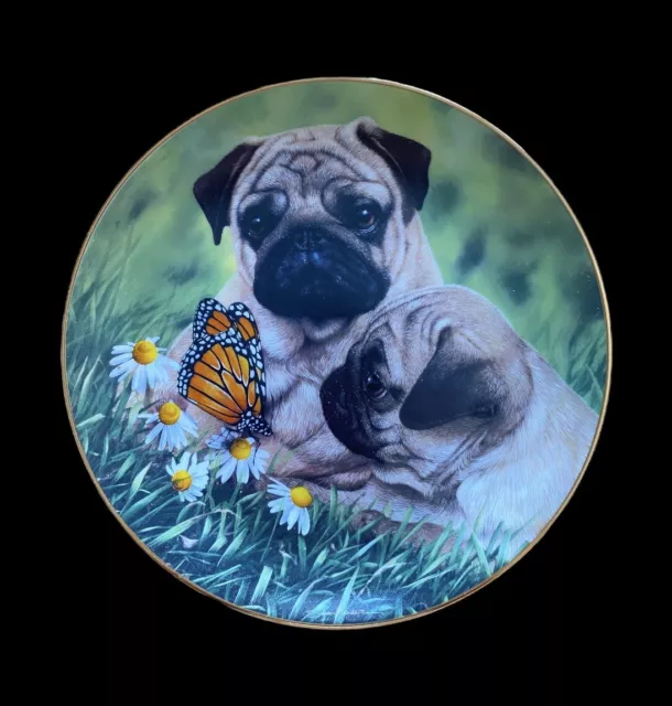 ~ LIMITED EDITION ~ Danbury Mint PUG EYED by Simon Mendez  Plate MINT