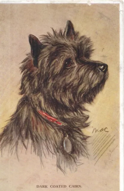 VINTAGE ART postcard: CAIRN TERRIER DOG by MAC