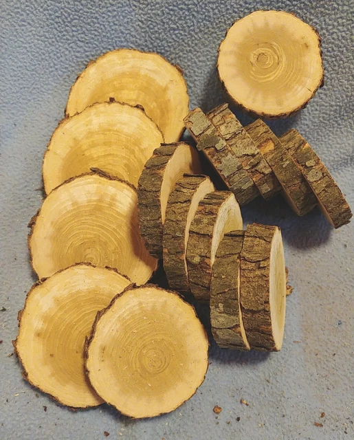 (15) Rebanadas de galletas de madera de morera de 2-3/8"" a 3-3/8"" × 12 mm Live Edge Sunburst