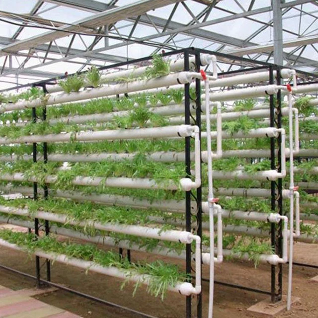 Kit di Accessori Idroponici 30 Adesivi per Coltivazione Fuori Suolo Multifunzionale 30 Cestini per Piante 30 Cupole per Piante Kit per Coltivare Tutto per Il Giardino