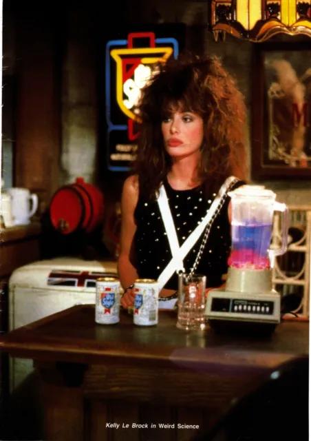 Framed Picture 11X8" Kelly Le Brock In Weird Science