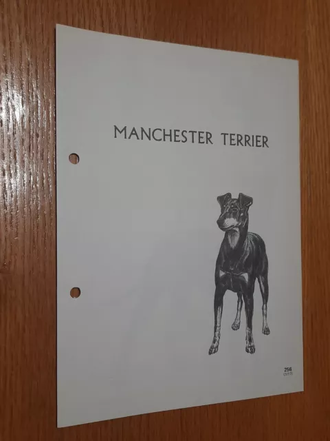 Manchester Terrier Breed Supplement RAS Kennel Control Sporting Terriers Group 2