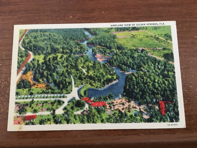 Airplane View Silver Springs Florida - Linen Postcard
