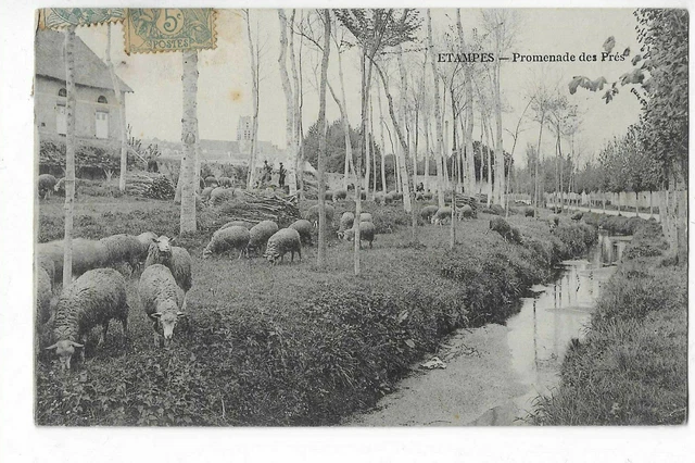 91  Etampes  Promenade Des Pres