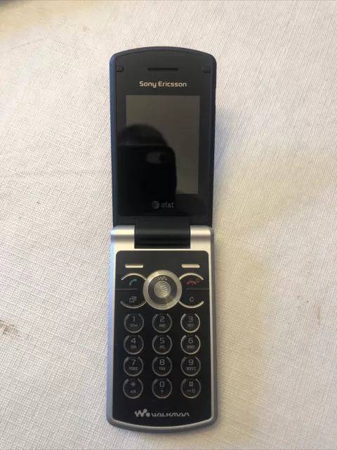 Sony Ericsson W518a Flip Phone