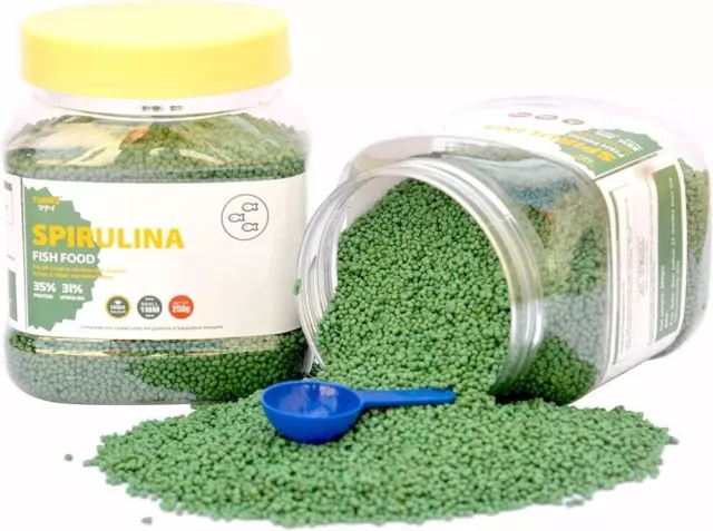 31% Spiruline Optimum Choice Nourriture pour poissons |250G| Aliments pour...