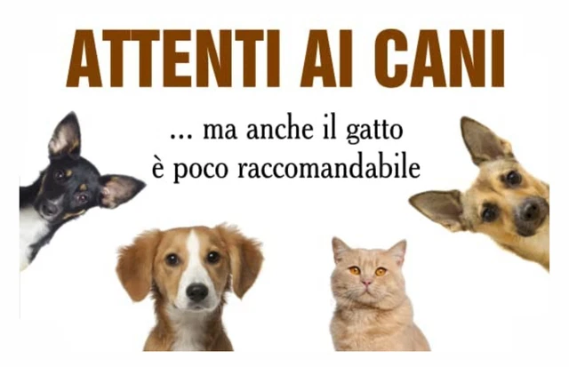 Attenzione Rf Radiazione Rischio Autorizzato Solo Cartello Su Bianca - Foto 8