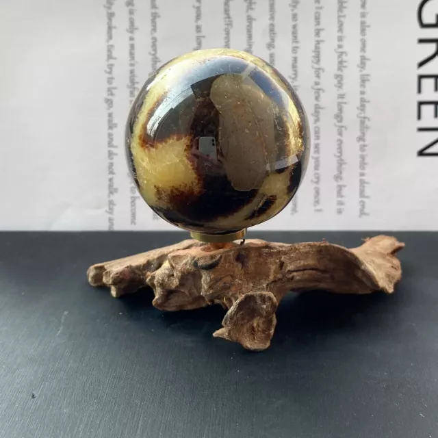 182g  Natural turtle back stone dragon crystal ball quartz mineral healing