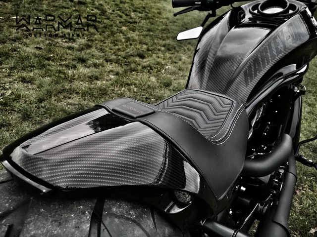 harley davidson custom rear fender