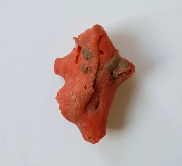 Piedra preciosa de coral 'roja' italiana, rama suelta 'áspera', barra de...
