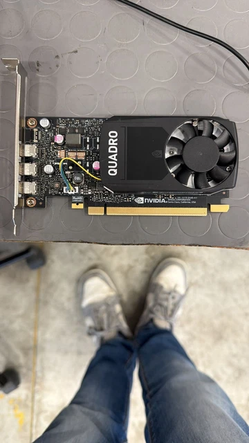 NVIDIA Quadro 2000D – Carte Graphique 2 Go DVI (VCQ2000D-T) – Neuve Sous Blister