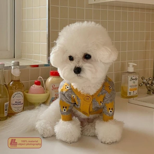 Otoño e invierno ropa perro lindo cárdigan oso oso de peluche oso ropa de perro pequeño