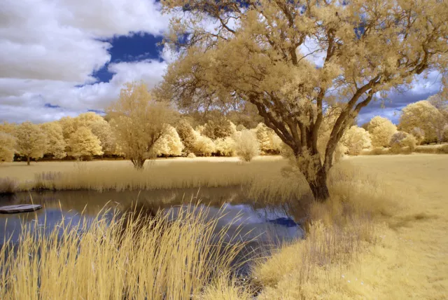 nikon d80 infrared conversion