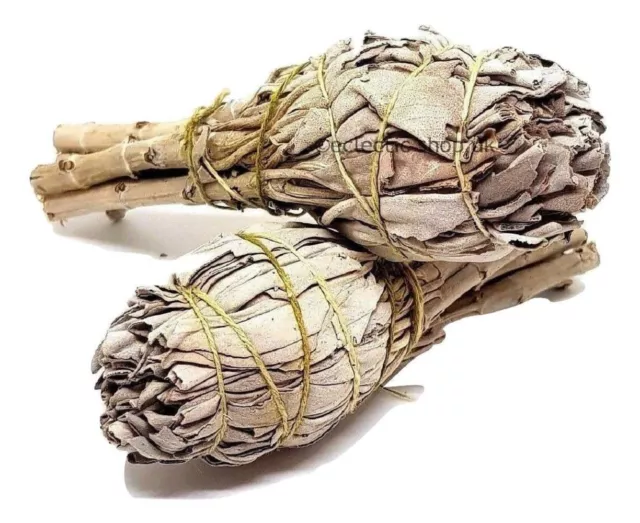 Californian White Sage Smudge Stick Bulb X 2 Shaman Sage Cleansing Spiritual