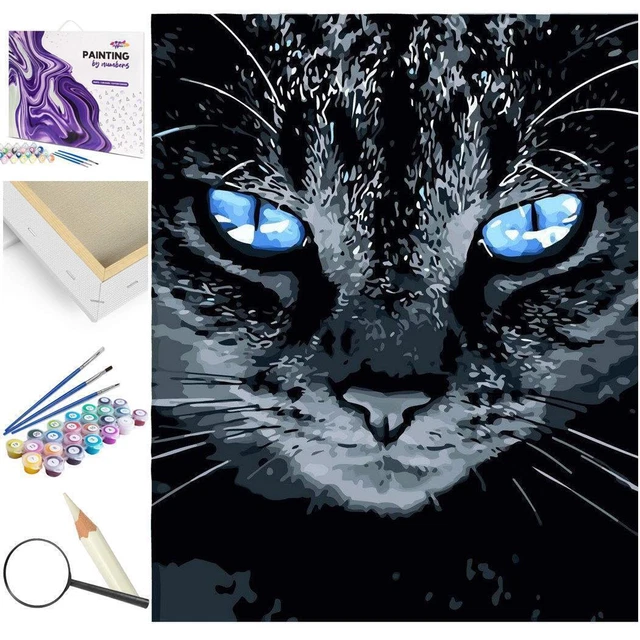 DAERLE Malen Nach Zahlen Set 4-teilig - Katzen Motive 20x20cm Mit Rahmen & Farben