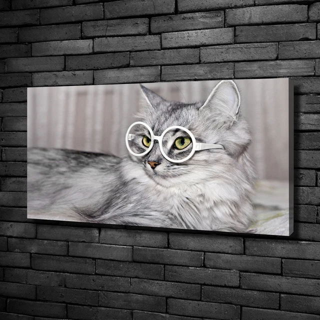Tulup Dipinto Su Tela Pittura Su Un Muro 100x50cm - Gatto Con Gli Occhiali