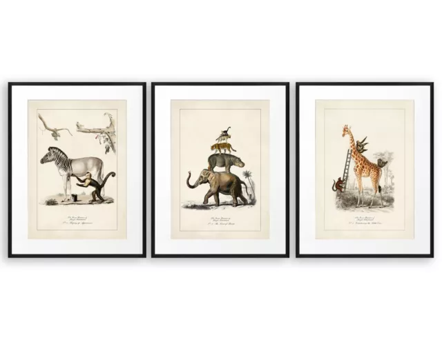 Surreal Animal Art, Set of 3 Prints, Vintage Posters, Funny Animal Posters