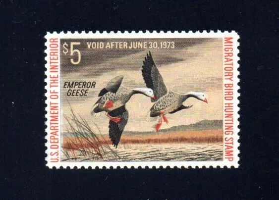 Rw39   Federal  Duck Stamp  1972   Mnh Og Pristine  Xf