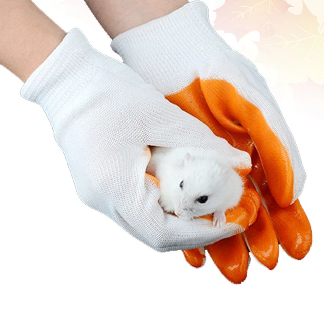 Guante resistente a los arañazos guantes de animales guantes de bienestar animal