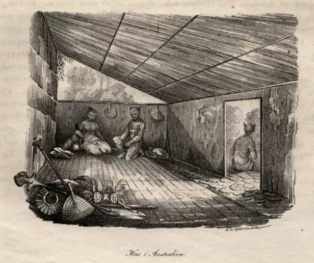 Australien Ethnologie Haus Original Lithografie Gjöthström & Magnusson 1835