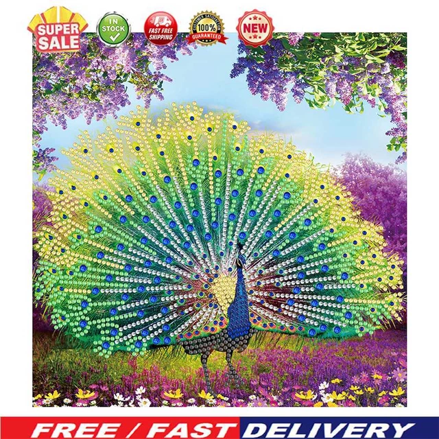 5D Part Special Shaped Drill Diamond Painting Peacock Kits Art Craft Home Decor