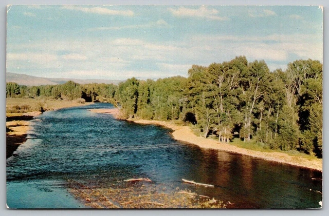 Capt Gunnison Rainbow Trout Water Fishing Stream County Colorado Co Postcard UNP