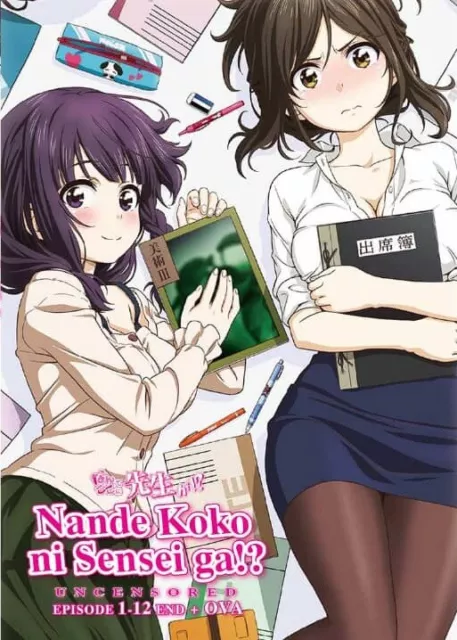 DVD Anime Nande Koko Ni Sensei Ga!? Series (1-12 End+OVA) Uncensored English Dub