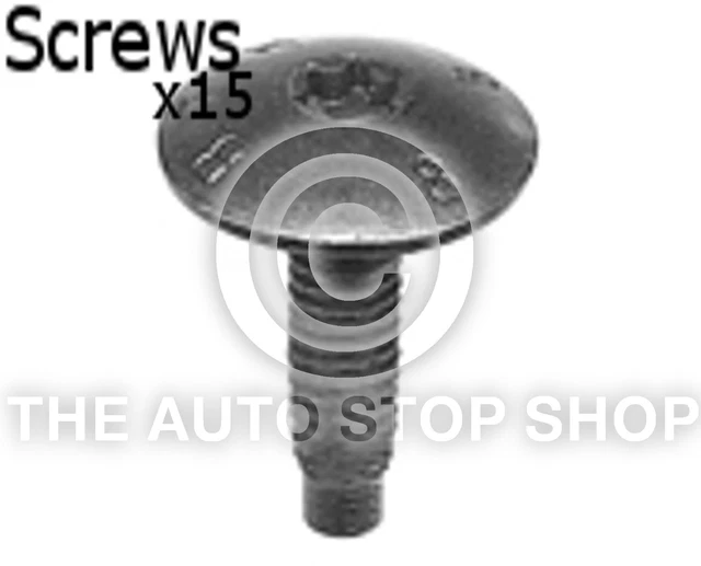 Kit De 20 Vis Pour Pare-chocs Avec écrous En U - Réf. N90974701 - Tête Torx Argentée