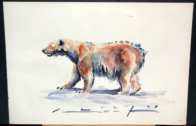 Carlos Becquer Dominguez (Barcelona, 1889-1968) Acuarela Papel. Oso