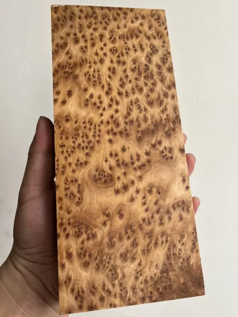 Gold Burl Wood Board Lumber Woodworking 9.2”X3.8”D18