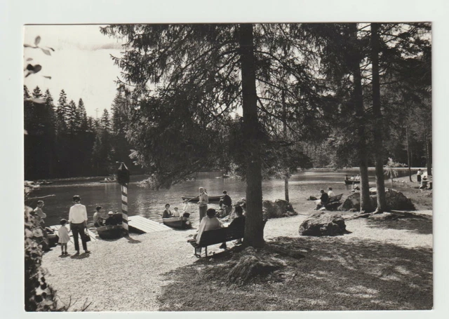 34474 CARTOLINA d'Epoca BELLUNO provincia - Lago di Alleghe 1932