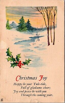 Christmas Joy Snowy Creek Holly c1923 Postcard