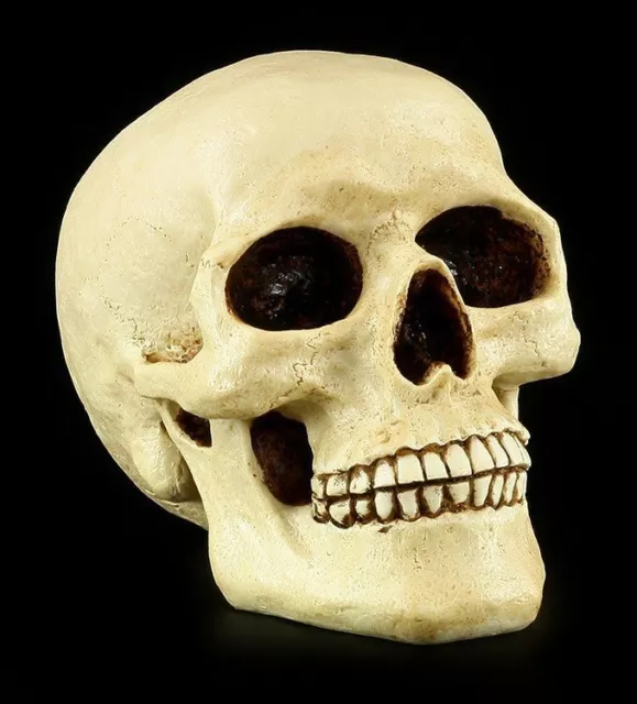 Tête de Mort Tirelire - Gens Crâne - Crâne Figurine Sparkasse