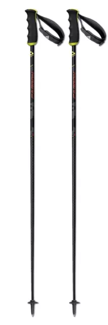 Skistock Racingstock Fischer RC4 Carbon
