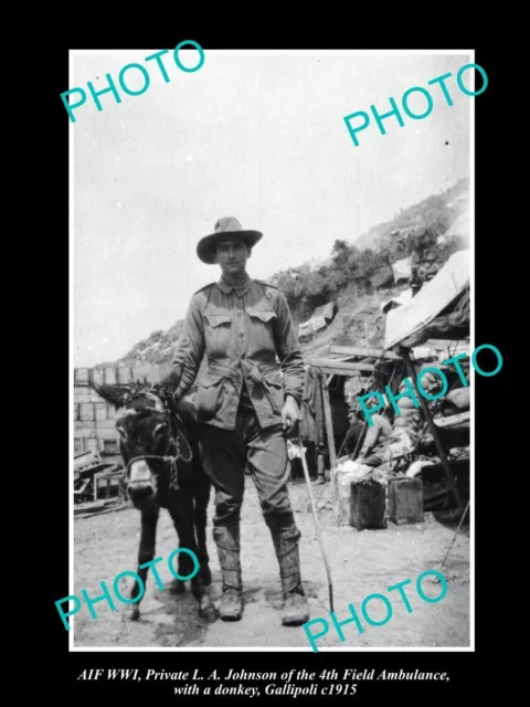 OLD 8x6 HISTORIC PHOTO OF AUSTRALIAN ANZAC WWI 4th FIELD AMBULANCE DONKEY 1915