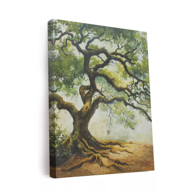 Angel Oak Tree Design 2 Canvas Wall Art Prints Pictures Gifts