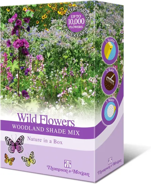 Woodland Garden Wildflower Seeds for Bees and Butterflies | Wild Flower Seed Mix