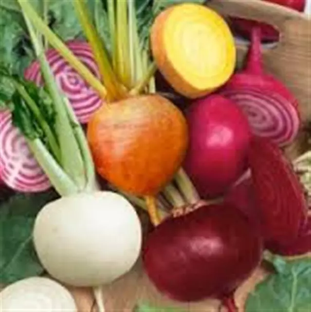 JandL Heritage heirloom Beetroot betrave seeds choice of 12 varieties .non GMO