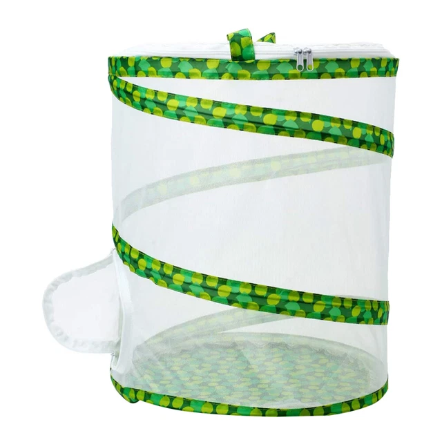 Mesh Cage Observation Box Plant Insect Conservatory Outdoor