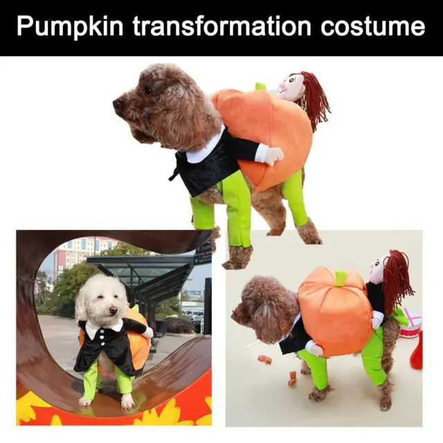 Halloween Dog Cat Clothes Funny Pet Pumpkin Transformation Dog Cospla✨ L8T4