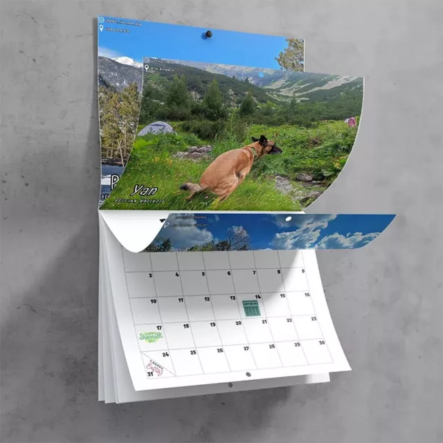2025 WALL CALENDAR Dogs Pooping in Beautiful Places Funny Dog Christmas