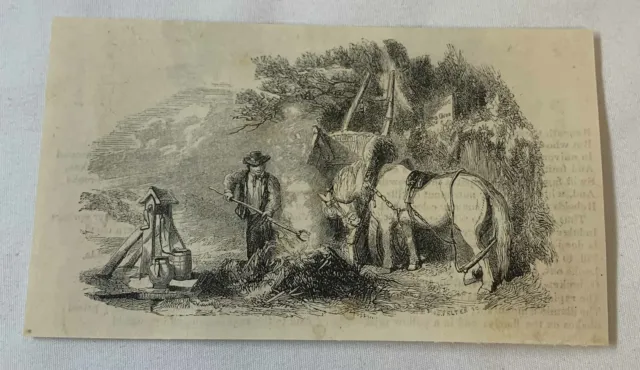 1851 Rivista Incisione ~ Rammendo Il Ferro di Cavallo