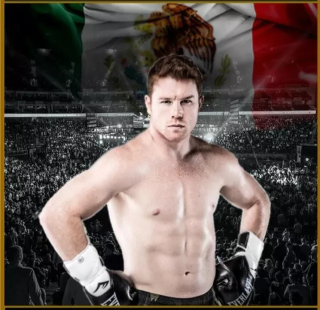 CANELO ALVAREZ (Volume 2) Boxing DVD  Career set