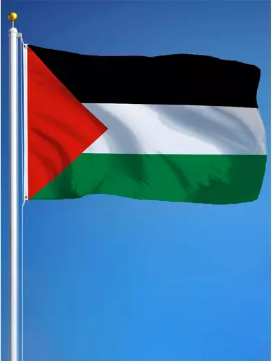 Palästina Flagge Fahne Gaza Westjordanland wetterfest Ösen | 90x150cm 60x90cm