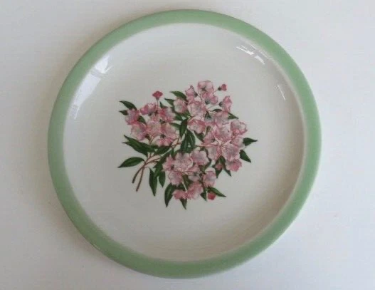 Pennsylvania Railroad dinner plate Mountain Laurel Syracuse China 1961