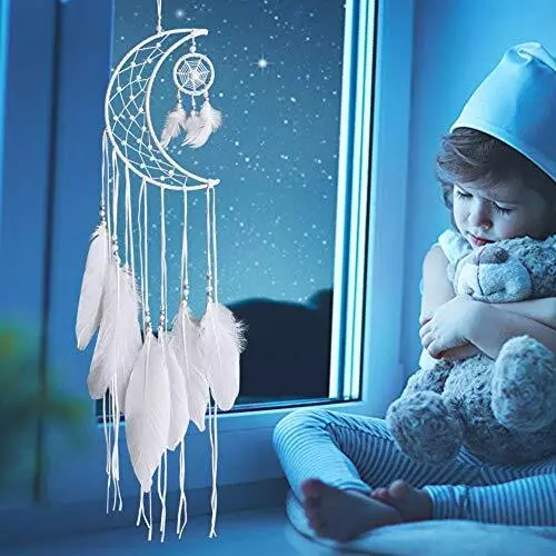 Dremisland Blanc Attrape-rêves Main Lune Conception avec Plumes Dream Catcher... 2