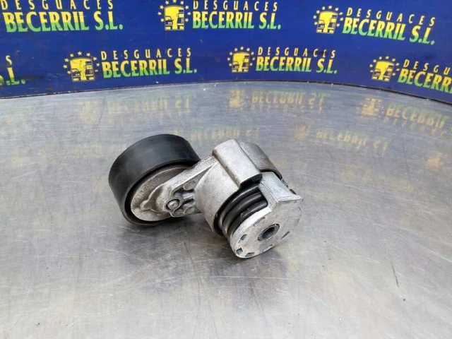 117503662R galet tendeur pour RENAULT MEGANE II RANCHERA FAMILIAR 2003 1062848