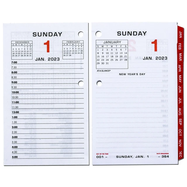 2023 ATAGLANCE E01750 Daily Calendar Refill with Monthly Tabs, 31
